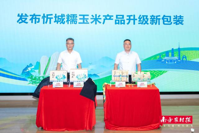 忻城糯玉米产品升级新包装发布。