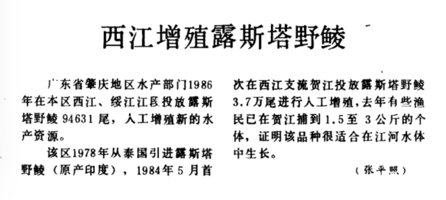 1987年在《中国水产》刊登的《西江增殖露斯塔野鲮》报道。