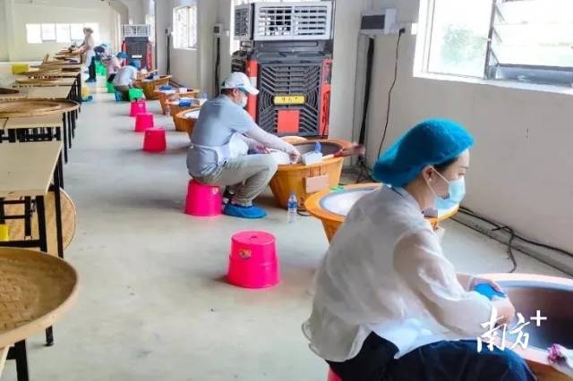 绿茶组实操考核在英德积庆里茶业有限公司积庆里红茶谷进行。