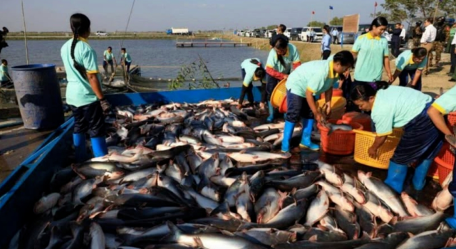 养殖业是缅甸重要的产业之一。