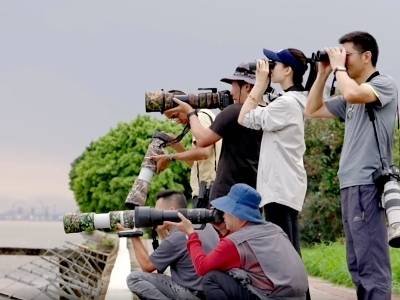 在滨海湾“追鸟”的人：用镜头记录飞鸟与生态变迁 | 八年蝶变③
