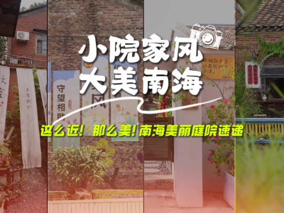 视频｜这么近，那么美！370个镜头聚焦南海美丽庭院