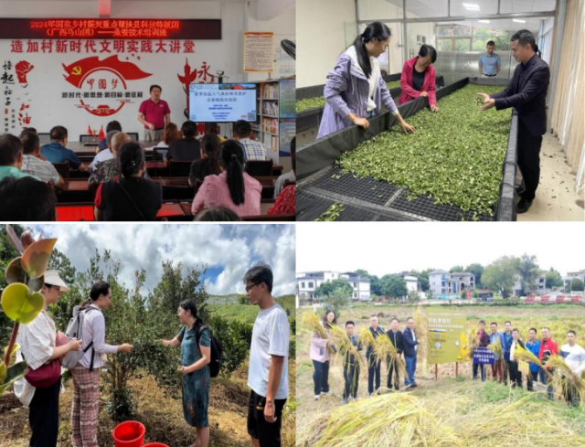 通讯员 汪路勇 供图