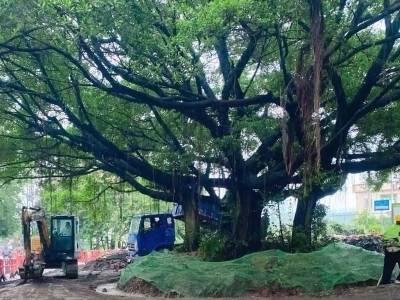 奋进“百千万”！黄江官山围焕新记