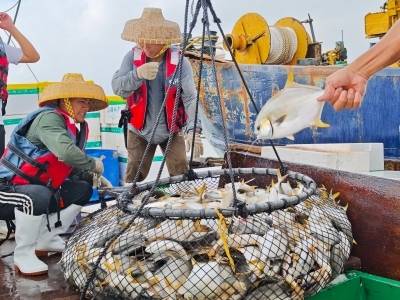 湛江的风与海，都藏在这尾“黄金鱼”里丨家乡的广货