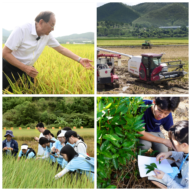 通讯员 汪路勇 供图