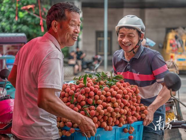 广东农业品牌建设是促进农民增收、增强农业竞争力的重要途径。
