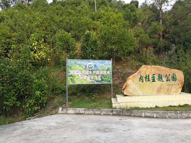 云浮罗定肉桂主题公园