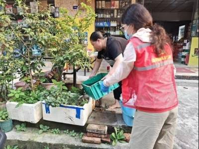 防控基孔肯雅热疫情，肇庆在行动