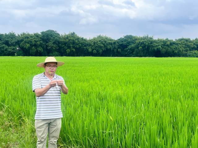 图为何灶家。南方+ 刘舜欣 摄 