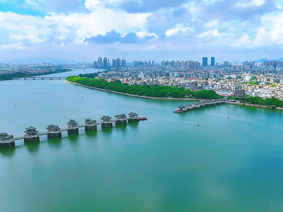 “‘水中大熊猫’再度现身，见证潮州生态之变”| 感恩奋进 一线观潮⑤