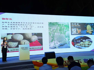 富伽商贸亮相“广州之夜”，携伽师好物拓市场