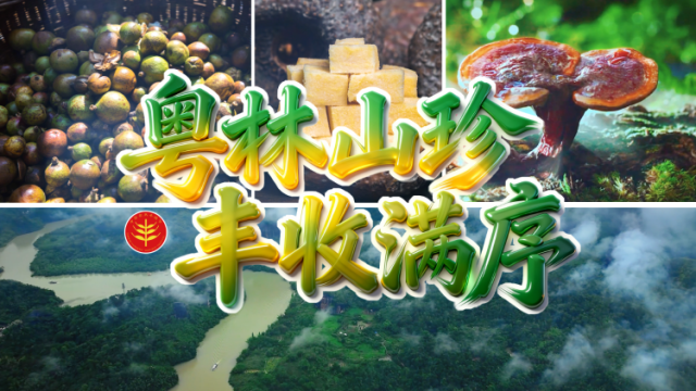 粤林山珍 丰收满序