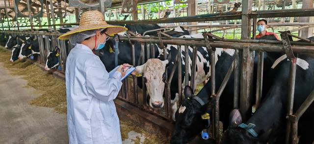 为增城动物疫病防控实践，为新时代基层动物防疫工作提供了队伍建设的参照样本。