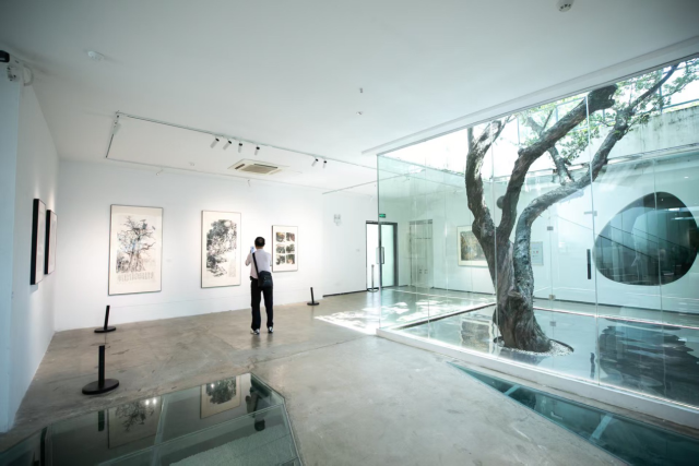 书画展与美术馆内的大树相映成趣。