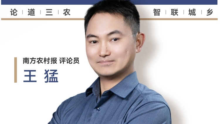 兴农评丨村干部领失业金，折射“保障真空”困境
