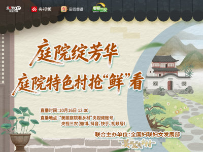 打卡乡村美丽庭院，沉浸式感受珠海“她”力量