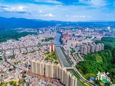 兴产业强实体、抓协同活要素，激活县域内生动力｜融湾深调研·丰顺