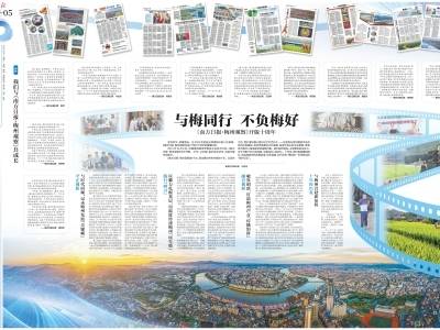 与梅同行 不负梅好——《南方日报·梅州观察》开版十周年