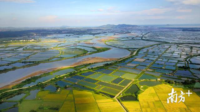 边海村农田和咸水养殖场。