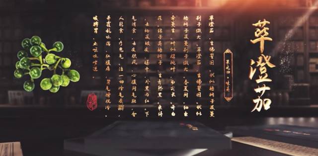 《本草纲目》曾将山苍子记载为草澄茄