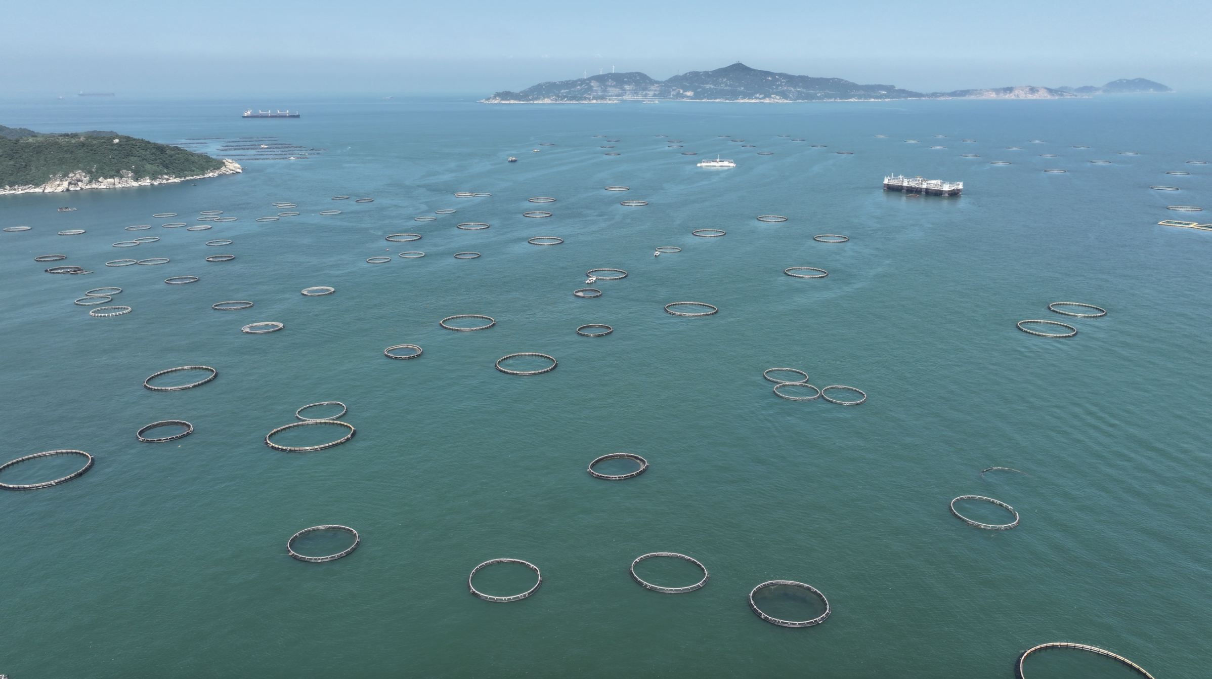 位于珠海蜘洲岛海域的现代化海洋牧场。南方日报、南方+记者 关铭荣 摄 位于珠海蜘洲岛海域的现代化海洋牧场。南方日报、南方+记者 关铭荣 摄