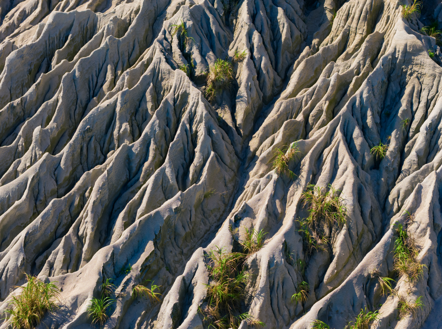 三门岛的表面经过千万年海浪、海风的侵蚀,展现出独特的纹理。 朱泽辉 摄 三门岛的表面经过千万年海浪、海风的侵蚀,展现出独特的纹理。 朱泽辉 摄