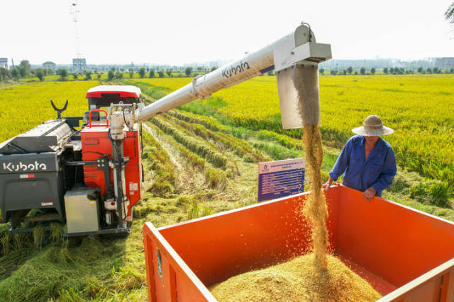 当前，全国各地农民正在加紧抢收秋粮。
