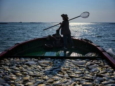 南海鲜味遇上西南烟火！10月26日湛江海鲜登陆贵阳，邀您共赴舌尖奇遇