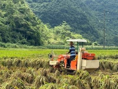 争分夺秒！广西百色田阳区群众齐心打响灾后重建攻坚战