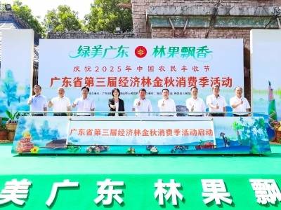 丰收南粤，林下生“金”