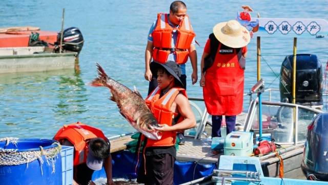 以“湖泊+”为笔，河源绘就全域农文旅融合新图景