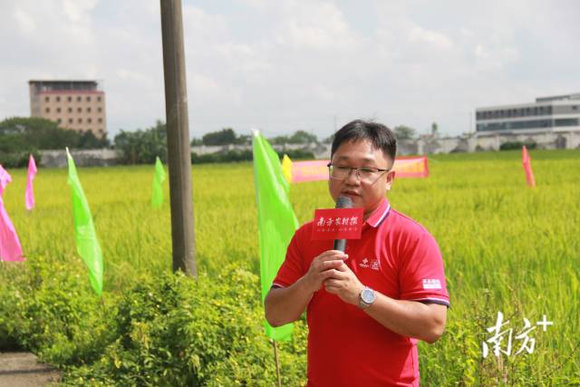 清远市清城区清禾农业科技服务有限公司技术经理张焯斌