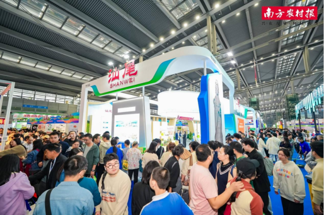 往年深圳食博会上汕尾展区人山人海。