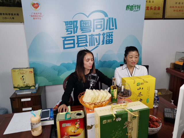 龙川的油茶电商正在直播卖货  
