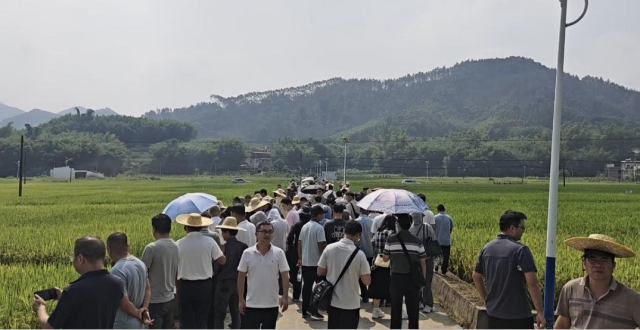 通讯员 省农科院水稻所 供图