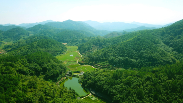 广宁县首佳农业专业合作社种养场地