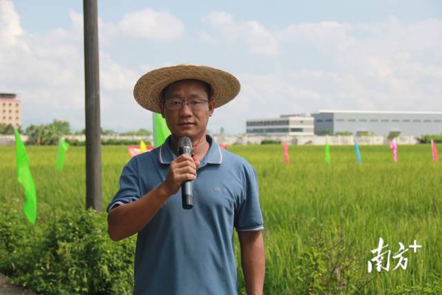 清新区水果技术推广中心副主任陈李棕