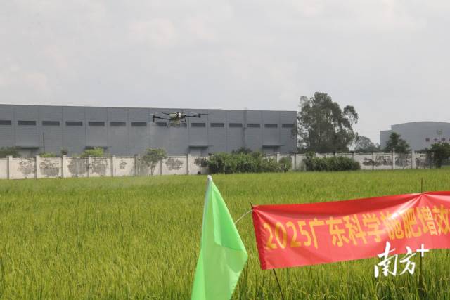 无人机施肥演示