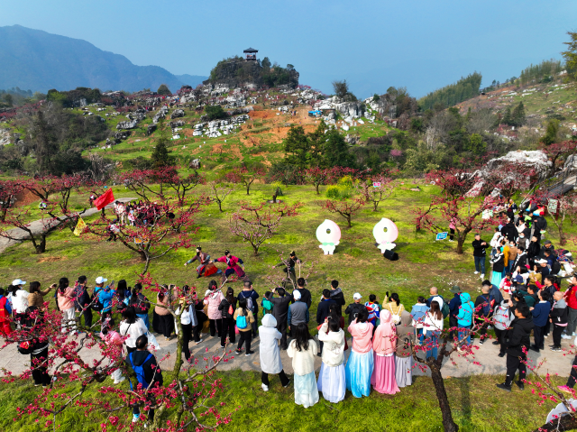 河源全面打造农旅特色品牌，举办桃花节等活动，带动连平县单次活动接待游客约50万人次。