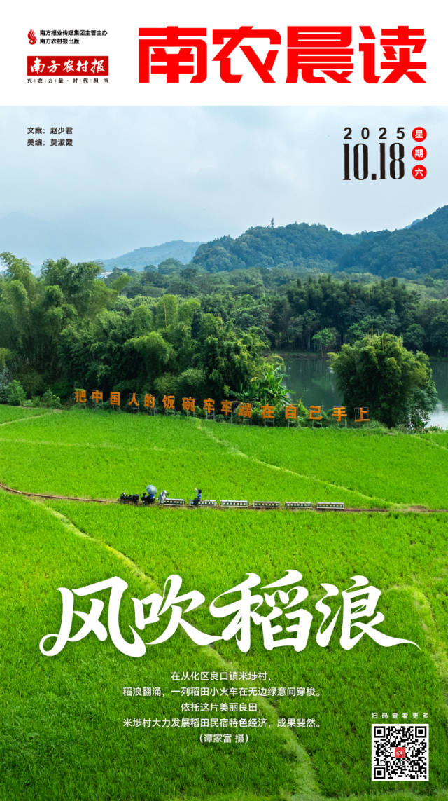 南方农村报 巢芮 制图