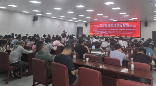 通讯员 省农科院水稻所 供图