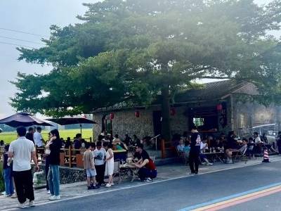 低空飞行+稻田咖啡，恩平解锁农文旅融合新范式