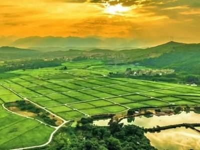 韶关浈江犁市镇：城乡共富答卷写满民生温度