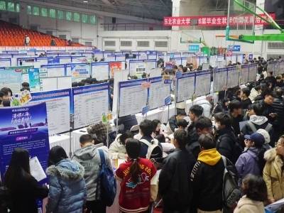 在东北农大，“百万英才汇南粤”招聘专场成为“显眼包”