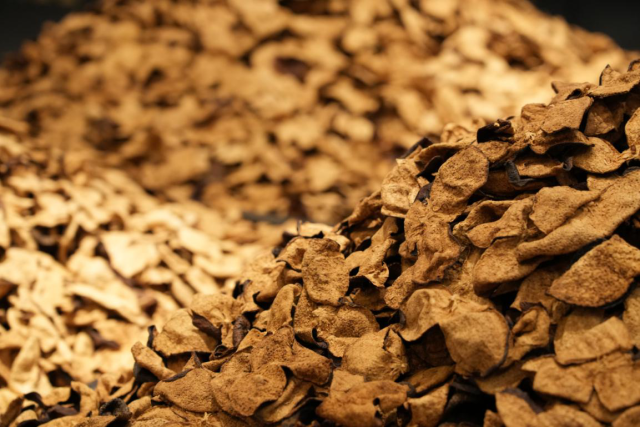 新会陈皮作为广东三宝之首，享有“一两陈皮一两金”“千年人参，百年陈皮”之美誉。