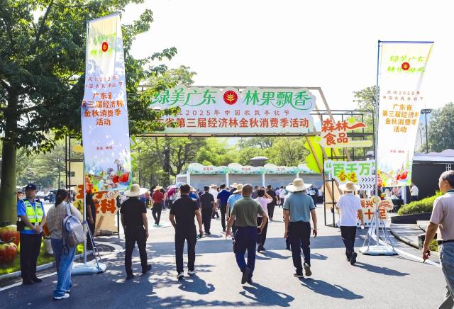 图集｜在广东林产品中，解锁森林的N种打开方式