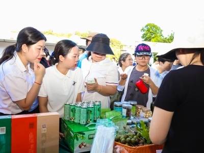 图集｜在广东林产品中，解锁森林的N种打开方式