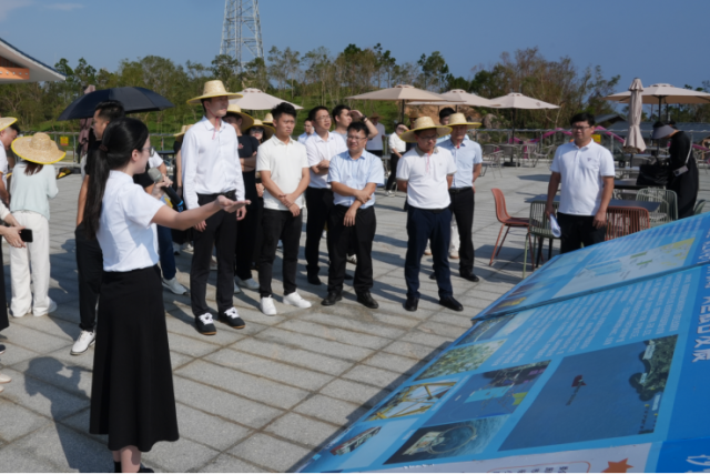 湾区企业家调研阳江海上风电、海洋牧场及文旅发展情况。