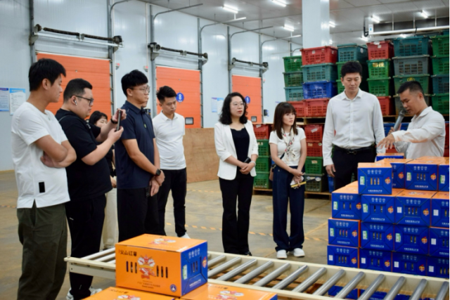 湾区青年企业家调研湛江智慧农业发展情况。